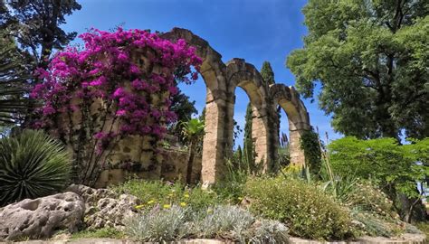 Le Jardin des Plantes: Un'Oasi Verde Piena di Scimmie Curiose!