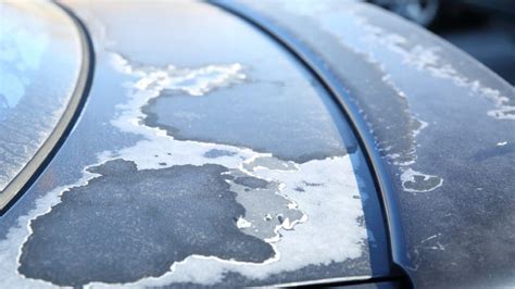 Does Shaving Cream Ruin Car Paint? And Why Do We Even Care About Car Paint in the First Place?