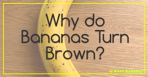 How Do You Open a Paint Can: And Why Do Bananas Always Slip Out of Their Peels?