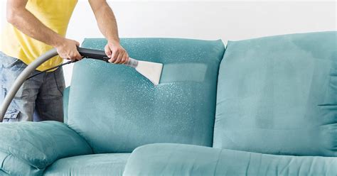 How to Clean Used Furniture to Prevent Bed Bugs: A Guide to Avoiding Unwanted Guests and Embracing Chaos in Your Living Room