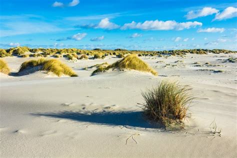  Il Dünenmeer: Un'Avventura Tra Sabbia e Mare nella Germania del Nord