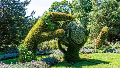  Il Giardino Botanico di Jieyang: Un Rifugio Verde e Una Spettacolare Manifestazione Di Fiori