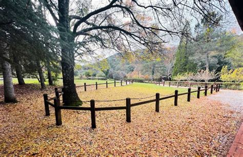 Il Giardino Botanico di Zhuzhou: Un'Oasi Verde tra Storia e Scienza!