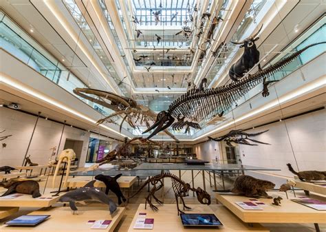  Il Museo delle Scienze di Liverpool: Un Tuffo nel Futuro e nella Fantasia!