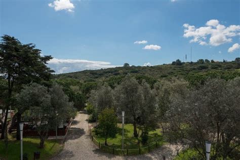  Il Parco Forestale di Meihua: Un'Oasi Verde e Profumata di Storia