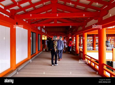 Il Santuario di Itsukushima: Un gioiello architettonico galleggiante e portafortuna!