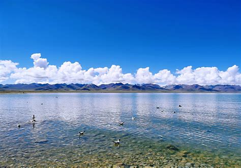 La Laguna di Namtso: Uno Specchio Celeste Riflettendo l'Anima Tibetana!